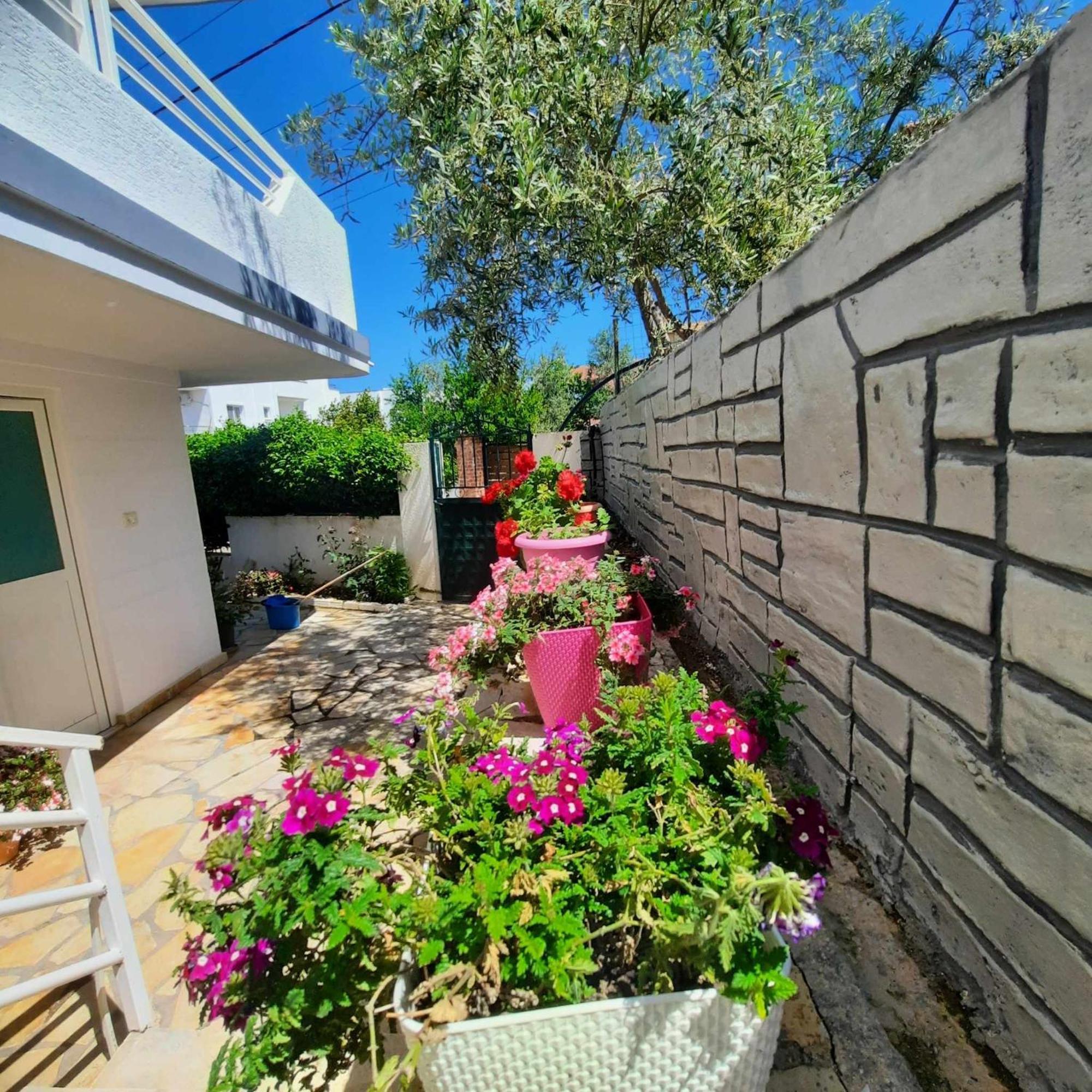 קסאמיל Vila Bexheti מראה חיצוני תמונה