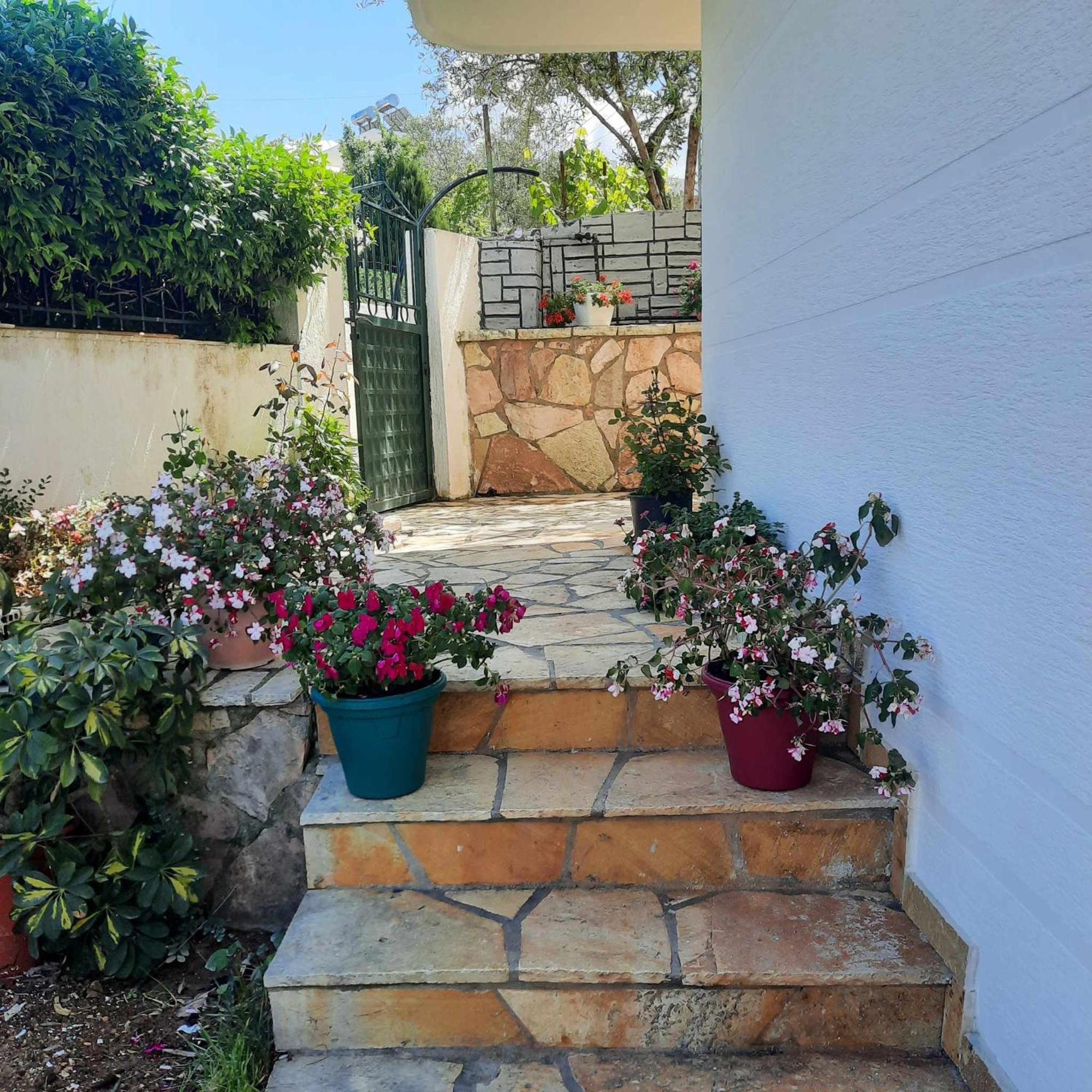 קסאמיל Vila Bexheti מראה חיצוני תמונה