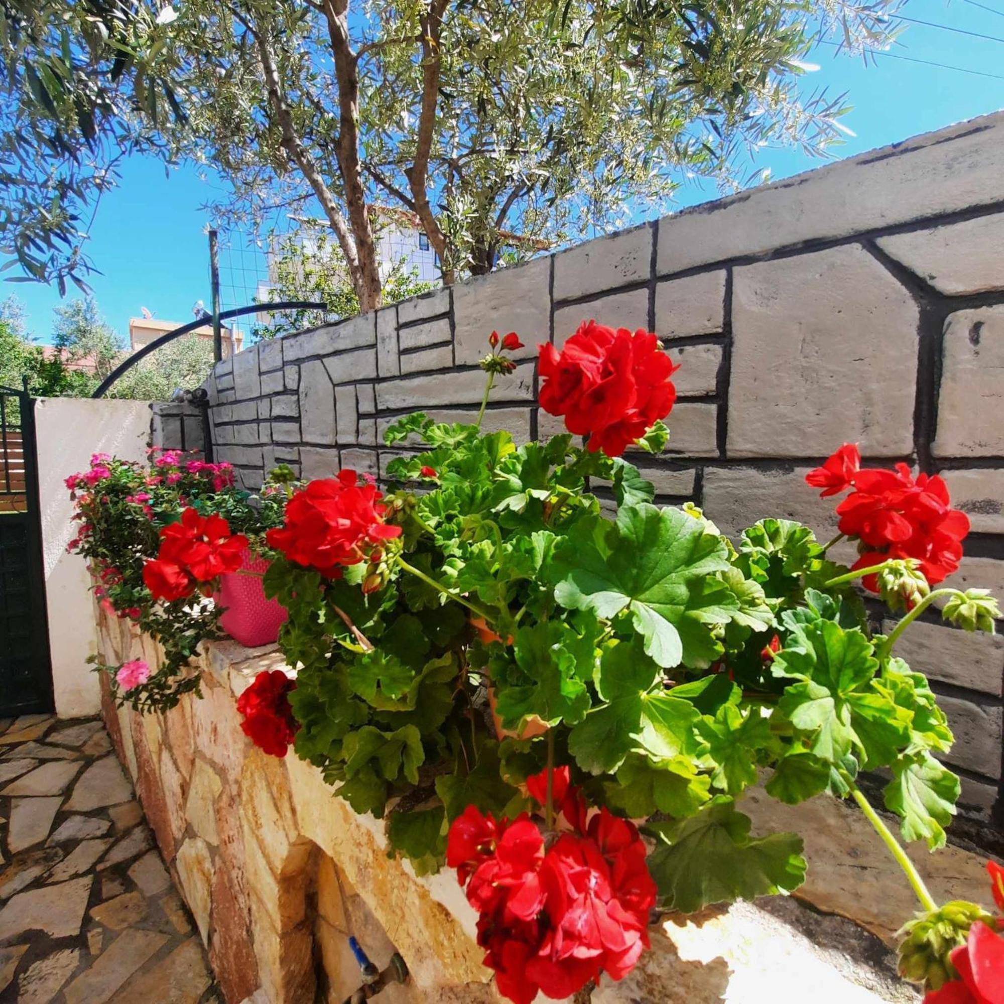קסאמיל Vila Bexheti מראה חיצוני תמונה